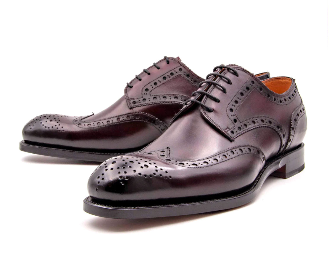 Ugo Vasare Burgundy Shoe