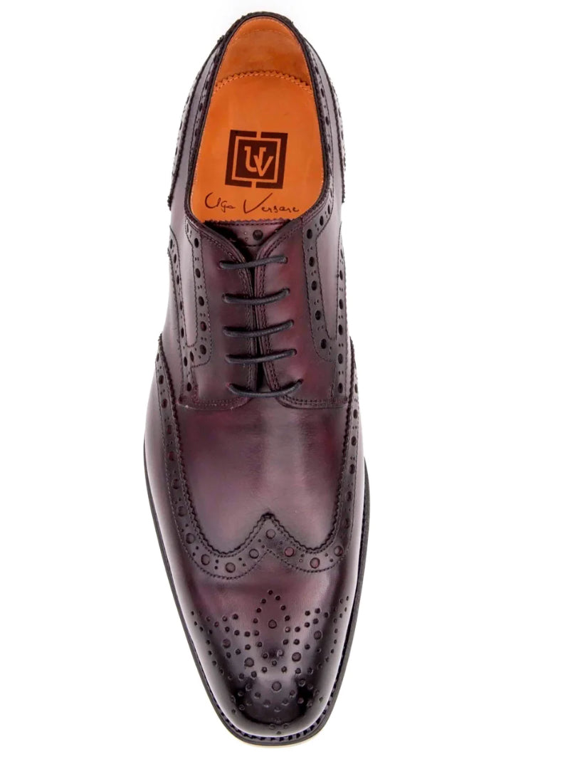 Ugo Vasare Burgundy Shoe