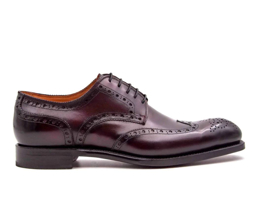 Ugo Vasare Burgundy Shoe