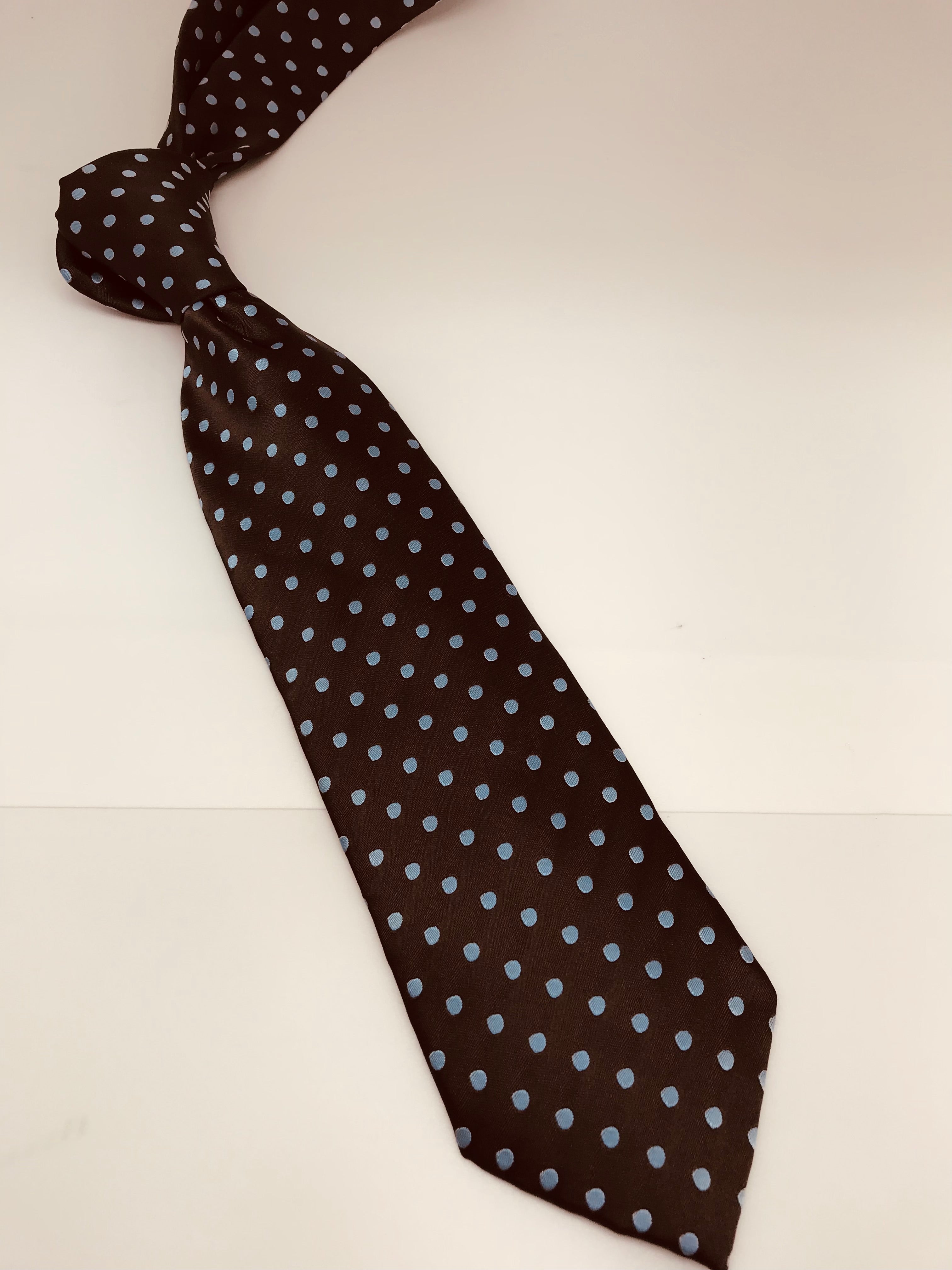 Brown & Powder Blue Polka Dot Tie