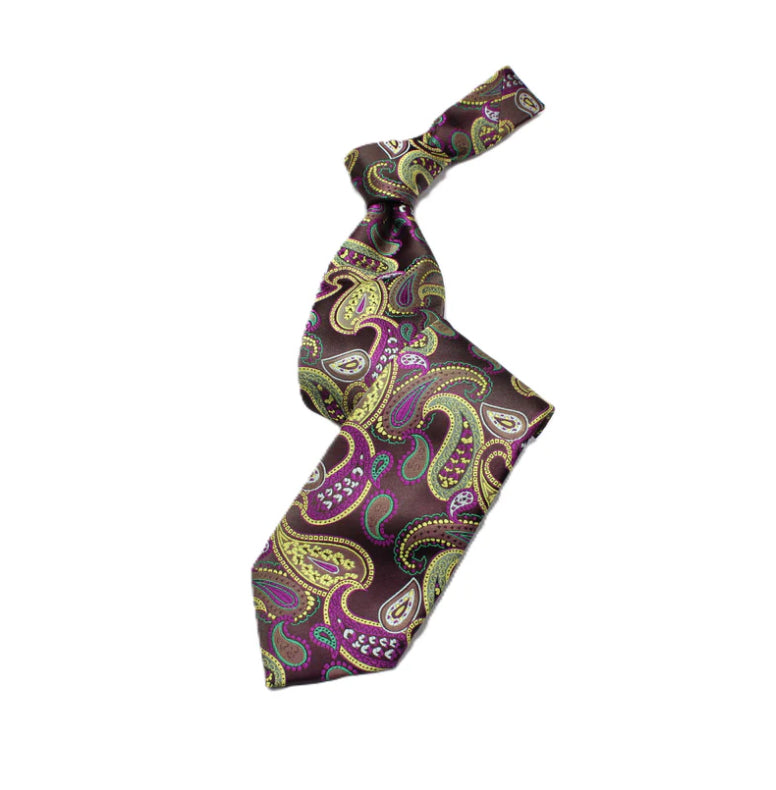 Ray Multicolored Brown Paisley