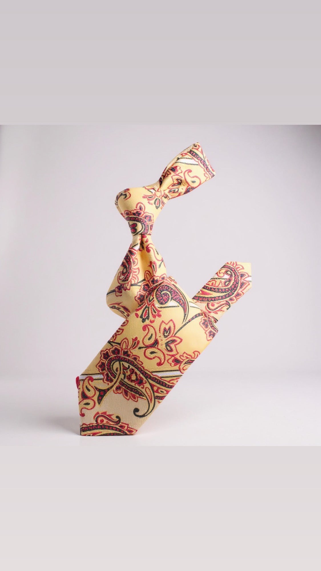 Krazy Paisley Champagne/Black & Red Tie