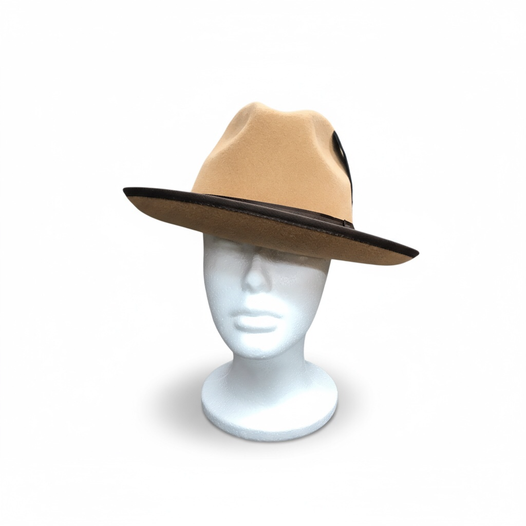 Tan & Brown Felt Hat