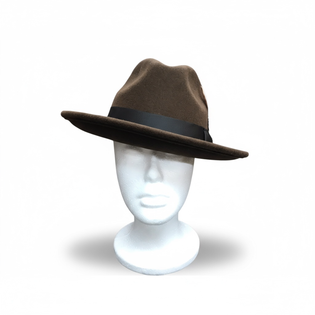 Brown Felt Hat