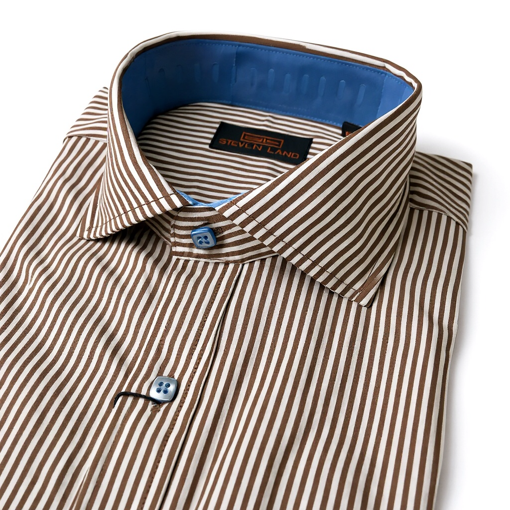 Stevenland Brown Stripe Dress Shirt