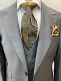 Solid Gray Suit